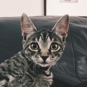 Meet your Posher, Gabrielle